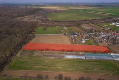 Teren Construcții intravilan de 3083 mp, în Nuci - 7