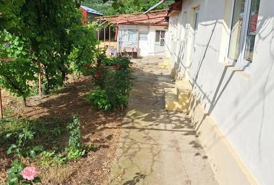 Casă cu 4 camere în Topliceni - 6