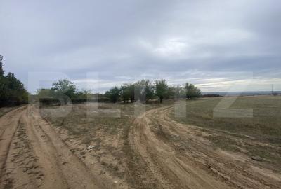 Teren Construcții intravilan de 15000 mp, în Est - 4