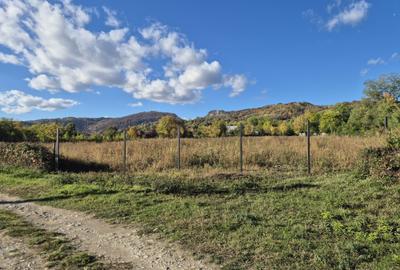 Teren de 5400 mp, în Polovragi - 4