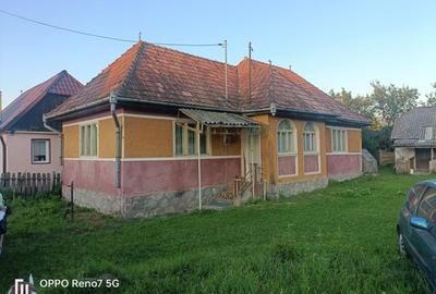 Casă individuală cu 3 camere în Orșova