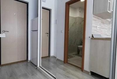 Garsoniera  renovata 37900 euro,  Iasi - 4