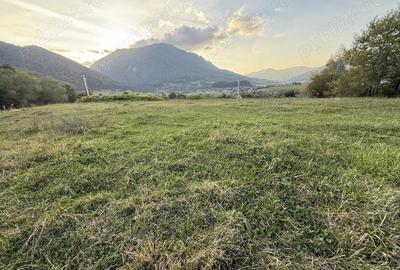 Teren intravilan 500 sau 1000 mp Bran-Tohanita la dum asfaltat - 6