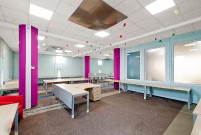 Bulevardul Cosbuc 116-118 - MaxFit - Birouri Premium - 3