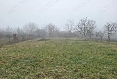 Casă în Dârlos - 6