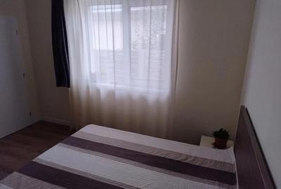 Casă cu 3 camere cu Teren 300 Mp în Bucovăț (Remetea Mare) - 3