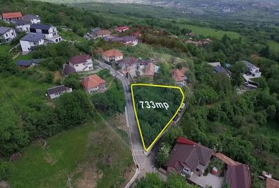 Teren cu autorizatie de constructie - Feleacu, 733 mp, COM 0% - 2