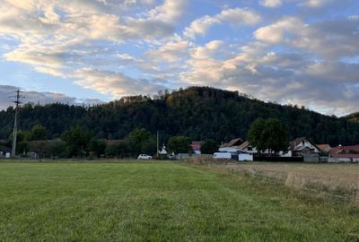 Teren de 650 mp, în Central