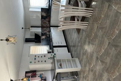 Casa spatioasa, mobilata,utilata,perfect pentru familie- Simian - 3