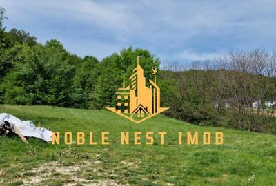 Teren extravilan 2200 mp - Budeasa Mica, Arge?, COMISION 0. - 5