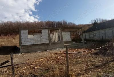 Casă cu 4 camere cu Teren 1218 Mp în Tomești - 6