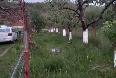 Casa Bezdead, Dambovita - 4