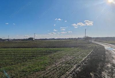 Teren Joita - Bacu - Dragomiresti - 2