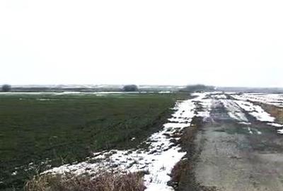 Teren intravilan de 1000000 mp, în Perișoru - 4