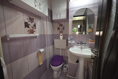 Apartament cu 2 camere semidecomandat în Valea Rosie - 9