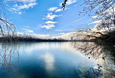 Teren Construcții intravilan de 6000 mp, în Dămăroaia - 22