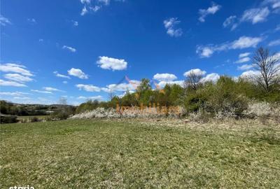 Spațiu comercial, în Bălnaca - 4