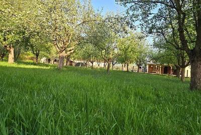 Casă cu 5 camere cu Teren 2763 Mp în Băița - 7