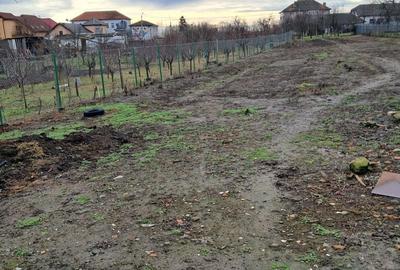 Casă cu 3 camere în Remetea Mare - 6