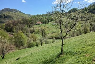 Casa de vanzare - 4