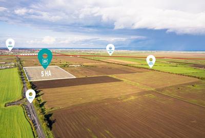 Teren de 50000 mp in Arad - 7