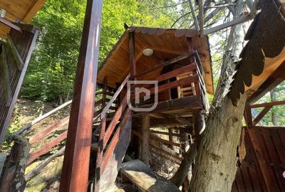 ? Casă/Cabană pe malul Lacului Bicaz,  ciubăr&saună - 6
