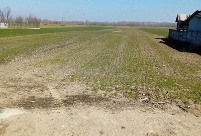 Teren de 3600 mp, în Central - 1