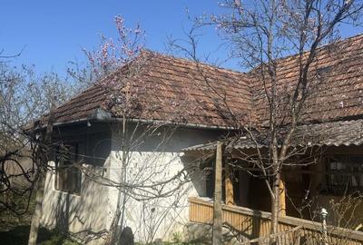 Casă cu 3 camere în Urmeniș - 13