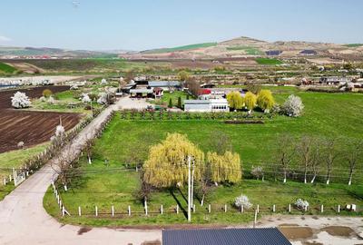 Spațiu comercial, în Central - 8