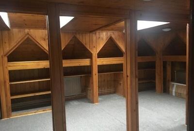 Casă individuală cu 6 camere cu Canalizare în Cotroceni - 10