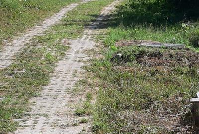 Casă cu 2 camere în Berislăvești - 7