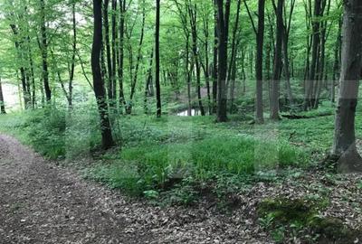 Teren de 1100 mp, în Făget