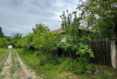 Casă cu 6 camere cu Teren 2060 Mp în Perișor - 3