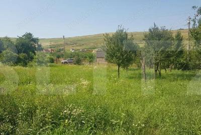 Teren intravilan Campenesti, 11600 mp, 43 ml front, pentru ansamblu de case! - 1