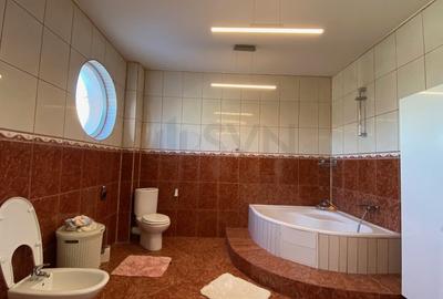 REV2003389 Vila Pantelimon proximitatea lacului - 28