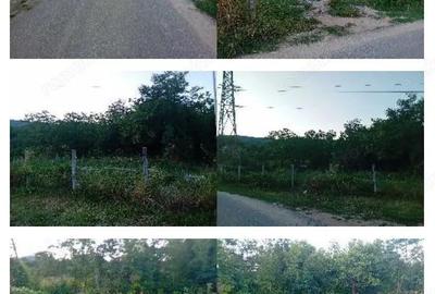 Teren de 256 mp, în Dăești - 3