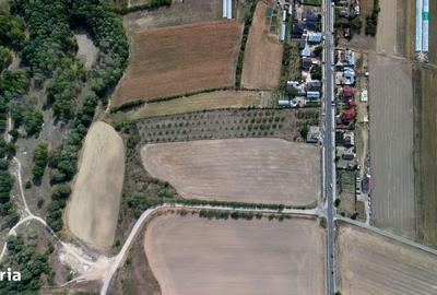 Teren de 9654 mp, în Dobra - 3