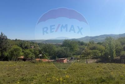 Teren agricol extravilan de 6322 mp, în Central - 11