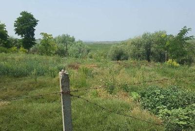 Teren Construcții intravilan de 1629 mp, în Câșlița
