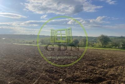 Teren Construcții intravilan de 2500 mp, în Daia