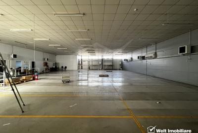 Depozit 600mp 2 rampe + birouri 180mp, 14 parcari, Lidl - Baciu - 2