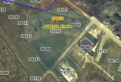 Teren Construcții intravilan de 1200 mp, în Săldăbagiu de Munte - 5