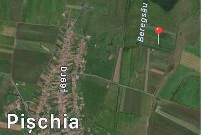 Teren de 10000 mp, în Pișchia - 2