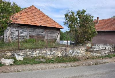 Casă cu 3 camere în Cerbăl - 6