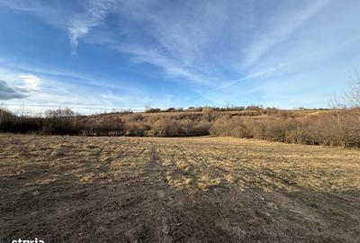 Spațiu comercial, în Bran - 10