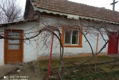 Vand casa situata in Negru Voda - 1