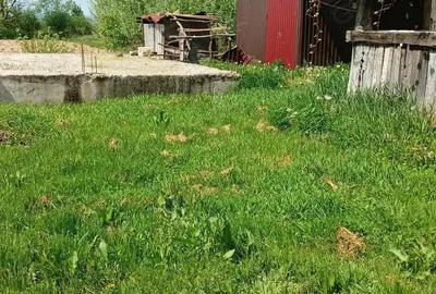 REDUCERE MARE DE PRET! In localitatea Miresu Mare, casa cu 10 ari teren, la drum asfaltat REDUCERE MARE DE PRET! In localitatea Miresu Mare, casa cu 10 ari teren, la drum asfaltat - 7