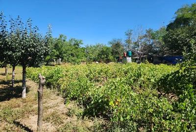Casă în Văcăreasca - 2