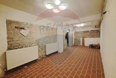 Spatiu comercial-Demisol-Atelier de arta - 8