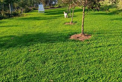 Teren, 1665 mp, casa veche, Mioveni - 1